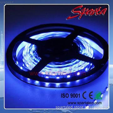 12V led strips SMD5050 blue color